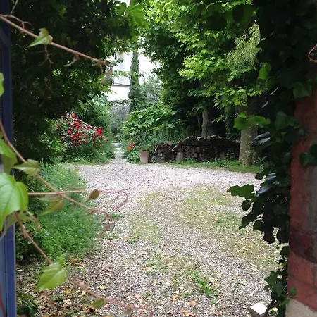 Ilot De Verdure En Plein Centre *