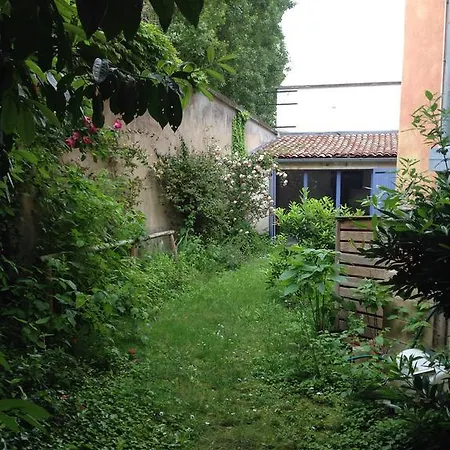 Ilot De Verdure En Plein Centre Lyon